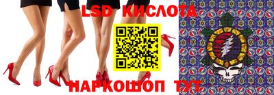 прущие грибы Гатчина