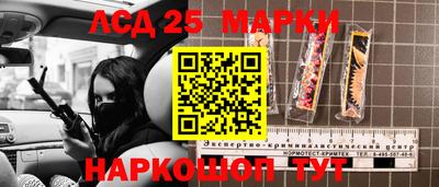 прущие грибы Гатчина