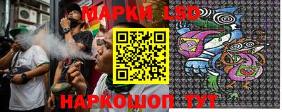 прущие грибы Гатчина