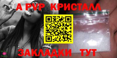 прущие грибы Гатчина