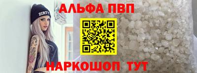 прущие грибы Гатчина