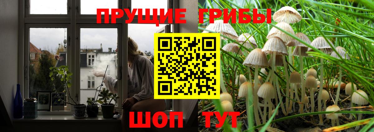 Псилоцибиновые грибы Psilocybine cubensis  Вход с VPN  Печора 
